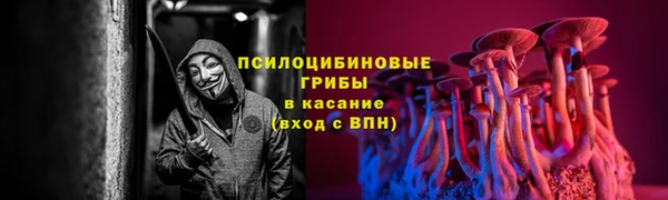 СК Нягань