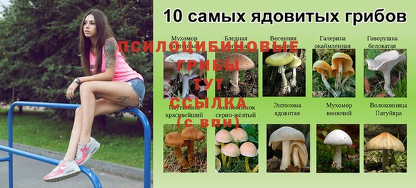 MDMA Premium VHQ Няндома