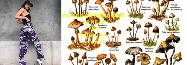 MDMA Premium VHQ Няндома